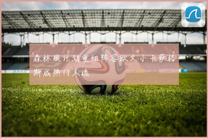 森林狼计划重组阵容欧文小卡萨格斯成热门人选