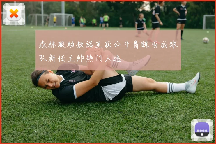 森林狼助教诺里获公牛青睐或成球队新任主帅热门人选